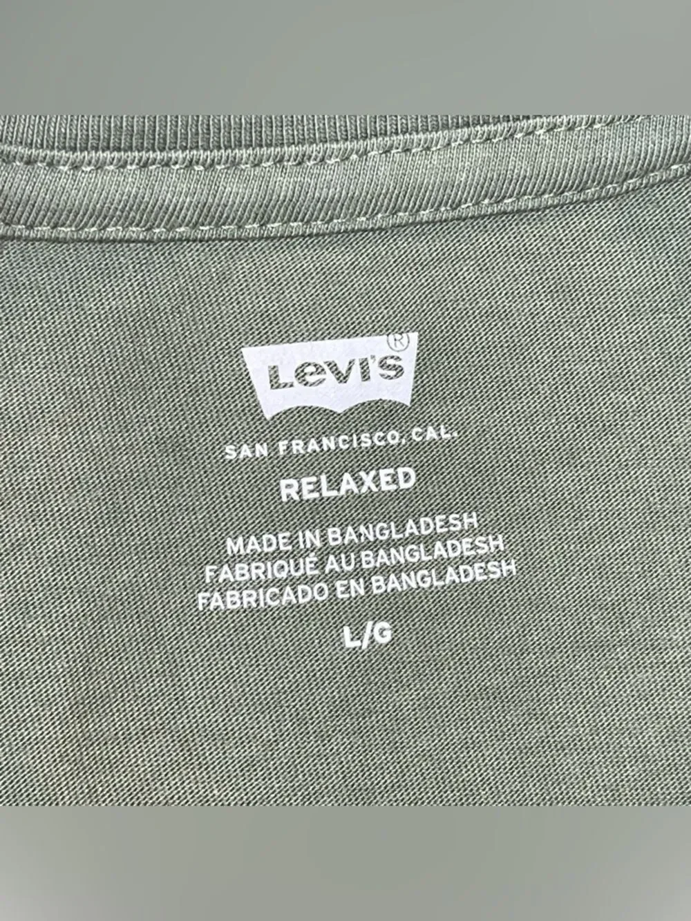 Levi's | NWOT Green Wild Alaska Bear Graphic Relaxed Tee | L